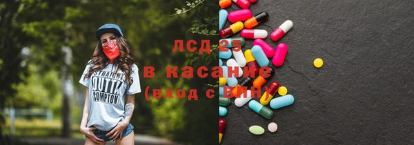 прущие грибы Инта