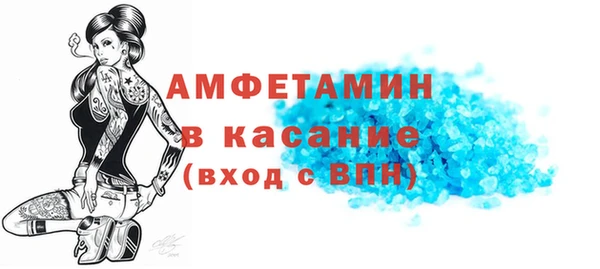 прущие грибы Инта