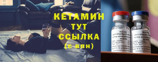 прущие грибы Инта