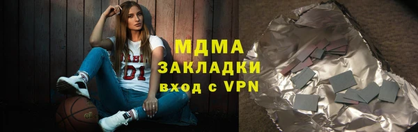 прущие грибы Инта