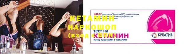 прущие грибы Инта