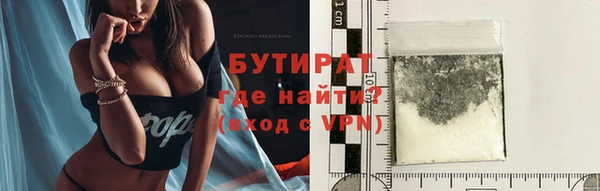 прущие грибы Инта