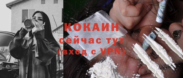прущие грибы Инта