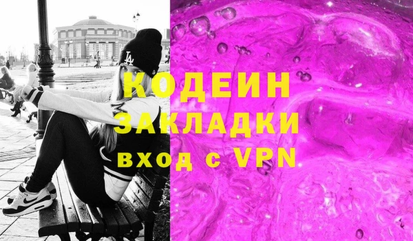 прущие грибы Инта